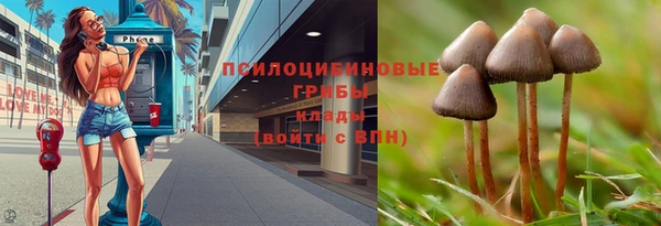 2c-b Богородицк