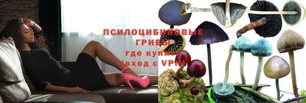 2c-b Богородицк