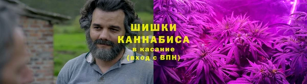 2c-b Богородицк