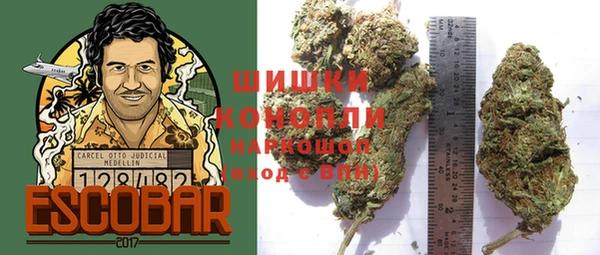 2c-b Богородицк