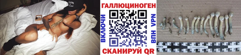 Псилоцибиновые грибы Cubensis  как найти закладки  Ейск 